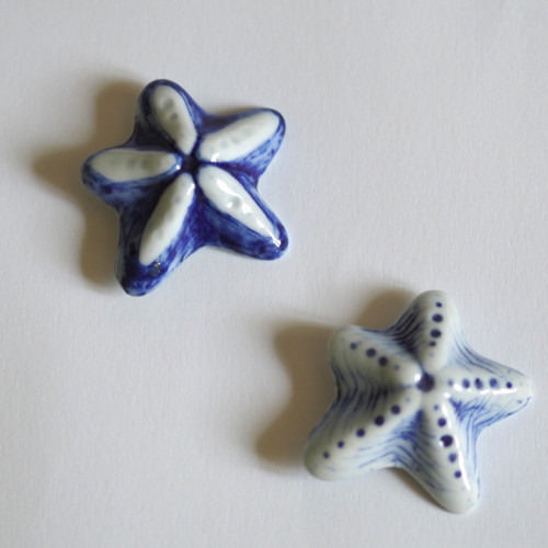 Hvězdice květina