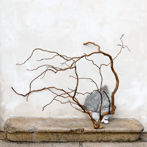 155x130x115 cm Přírodní strom, dekorace do nádob