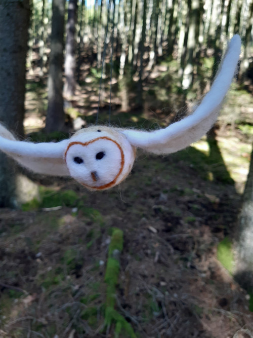 Sova pálená — foto 1