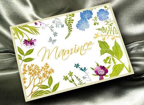 Přání - MAMINCE — foto 1