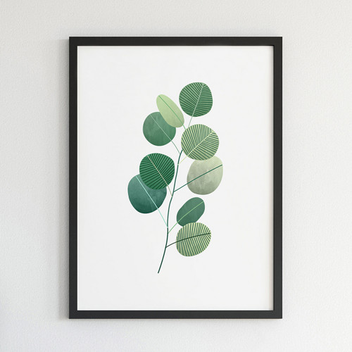 Plakát Eukalyptus 30x40cm