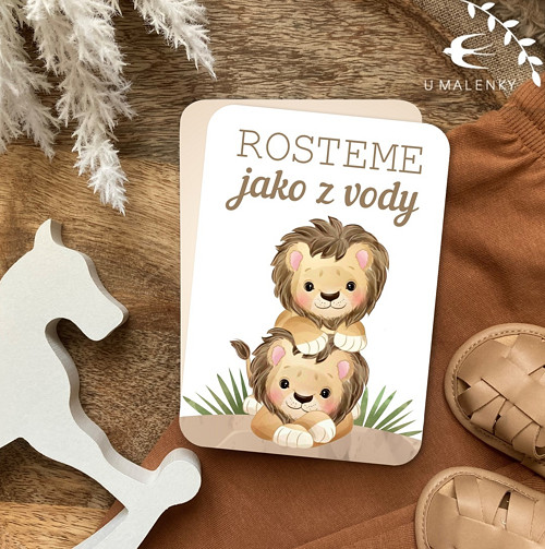 Milníkové kartičky pro dvojčátka