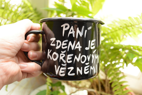 Plecháček - paní Zdena — foto 1