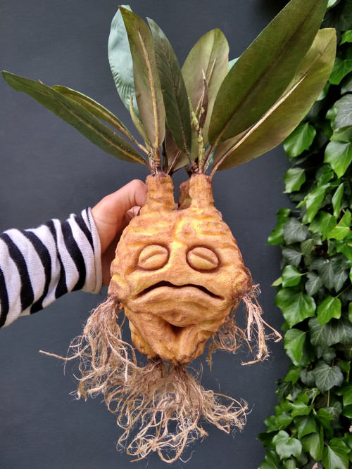 Mandragora