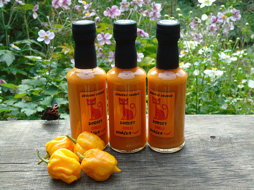 Dorset Chilli Omáčka Červený Kocour
