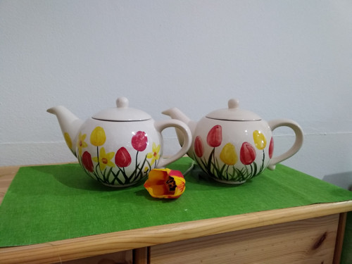 Tulipánové probuzení — foto 1