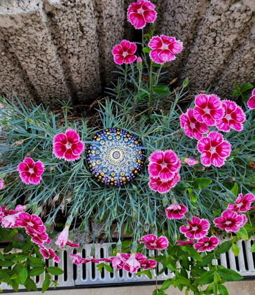 Malovaný kámen "Zlatá mandala"