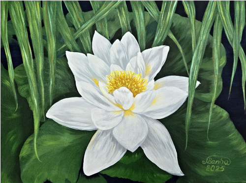 "Leknín květ", olejomalba a akryl na desce 40x30