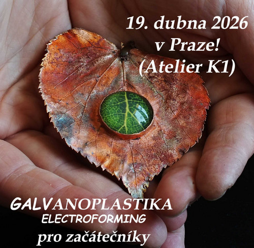 Skupinový Kurz electroformingu 1