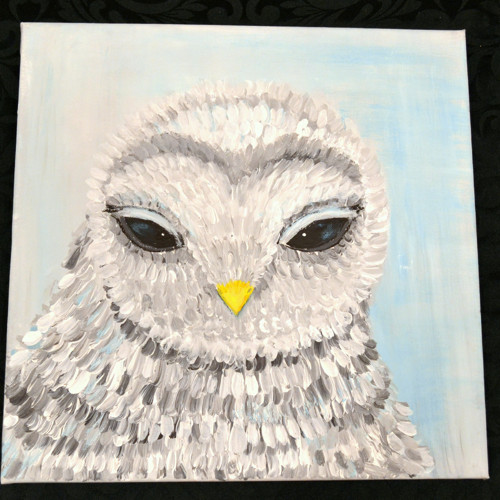 Sova tajemné oči - obraz - plátno 40x40cm - akryl