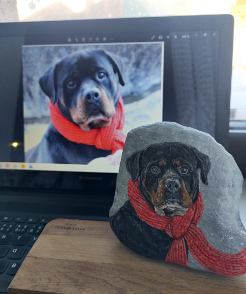 Malovaný kámen podle fotky