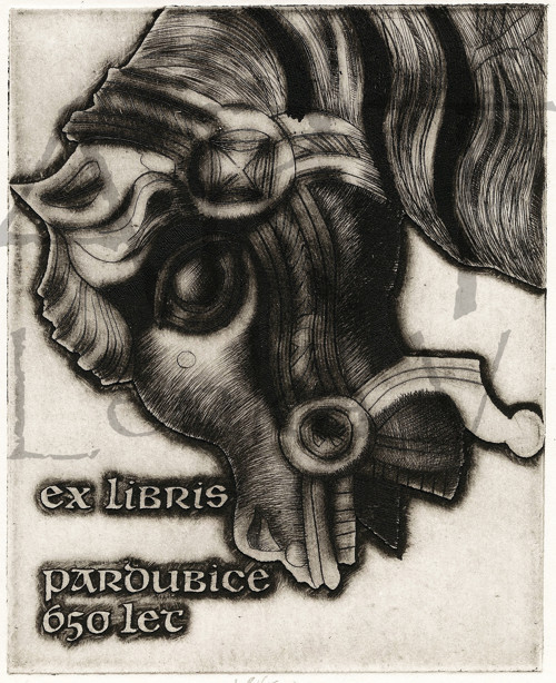 Ex libris Pardubice 650 let