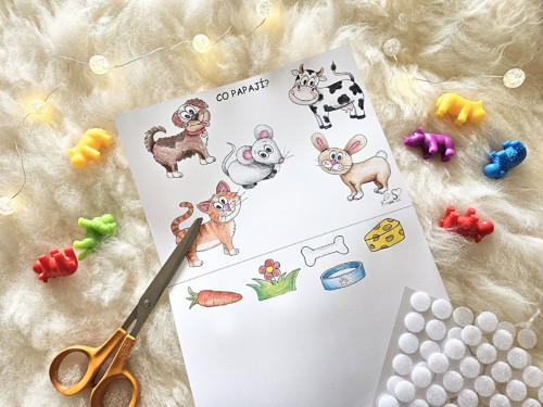 Co papají zvířátka - PDF