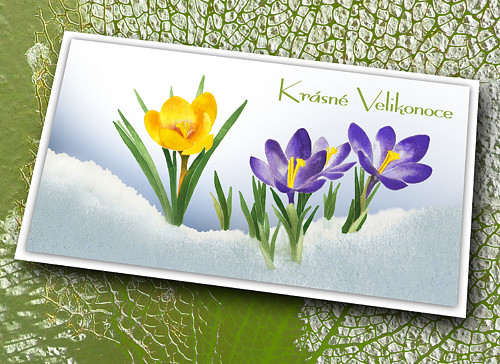 Přání - Krásné Velikonoce-Krokusy