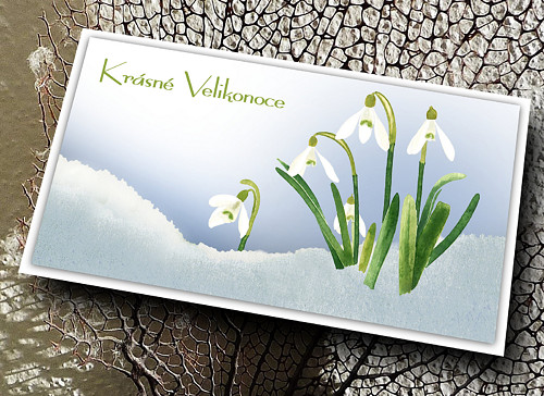 Přání - Krásné Velikonoce-Sněženky