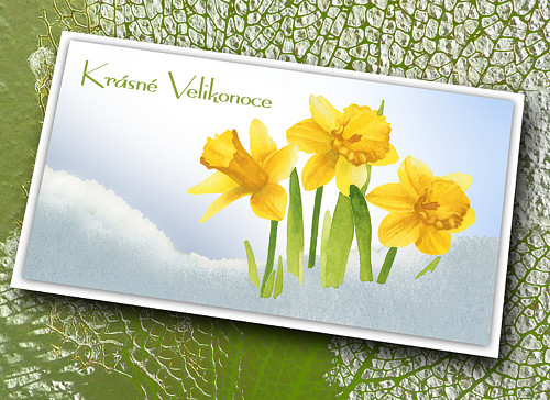 Přání - Krásné Velikonoce-Narcisy