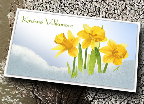 Přání - Krásné Velikonoce-Narcisy