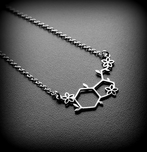 SEROTONIN HORMON ŠTĚSTÍ*ocelový náhrdelník