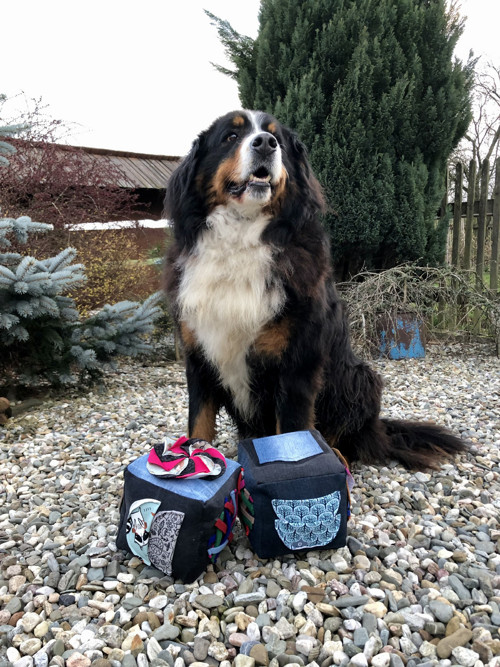 Čmuchací kostka MAXI - 14 cm
