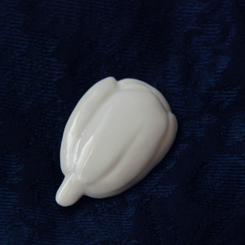 Bílý tulipán