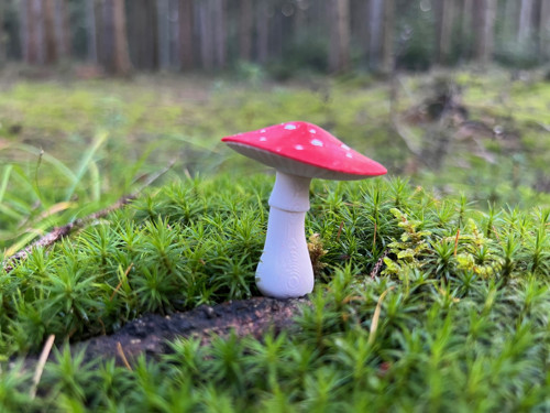 Brož muchomůrka
