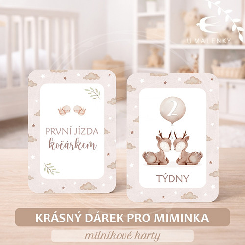 Milníkové kartičky pro dvojčátka