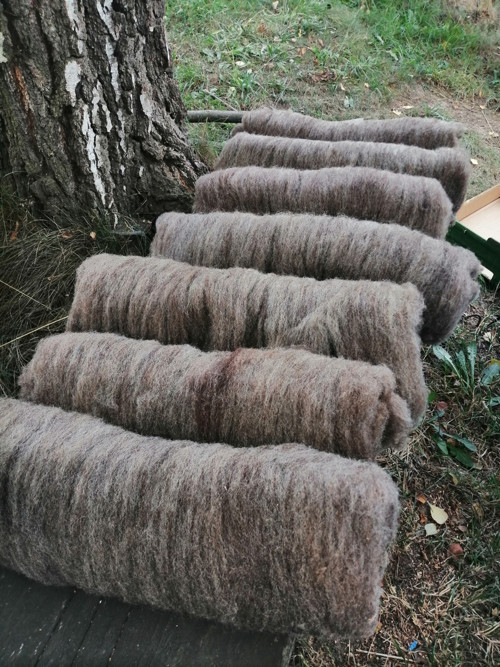 Česance - přírodní melír