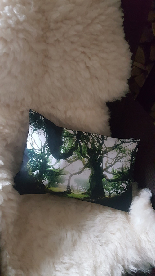 Fotopolštář „Fanal“,29x45cm