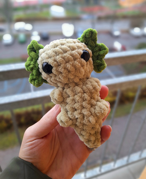 Axolotl PC 152,-