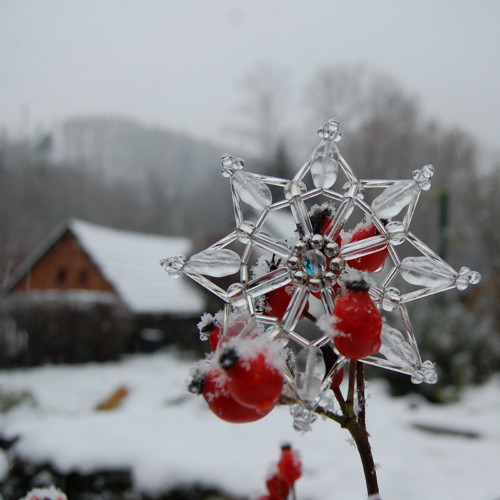 Hvězdy ledově stříbrné — foto 1