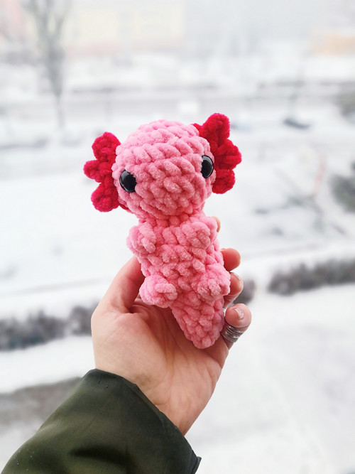 Axolotl PC 152,-