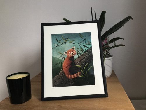Panda červená - tisk digitální ilustrace