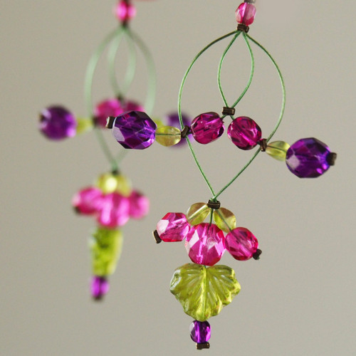 Zaplétanky fuchsijové — foto 1