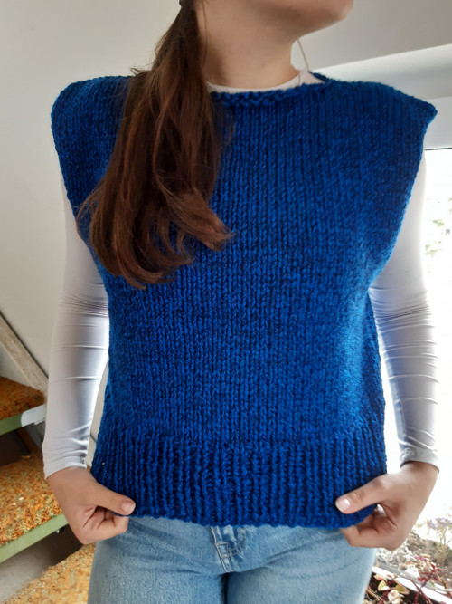Vesta modročerná