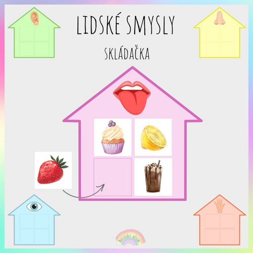 Lidské smysly, skládačka — foto 1