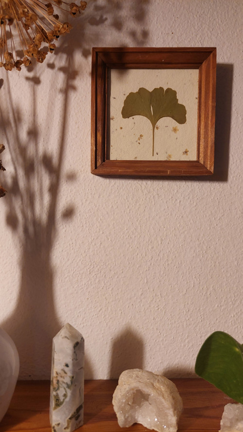Obrázek, Ginkgo No. 7 — foto 1