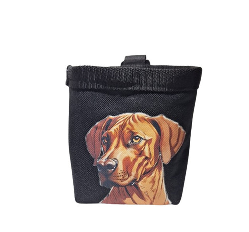 Pamlskovník Rhodéský Ridgeback