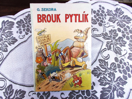 Brouk Pytlík