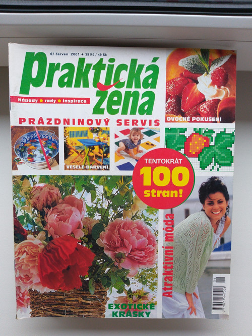 Moderní praktická žena — foto 1