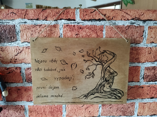 Obrázek - první dojem
