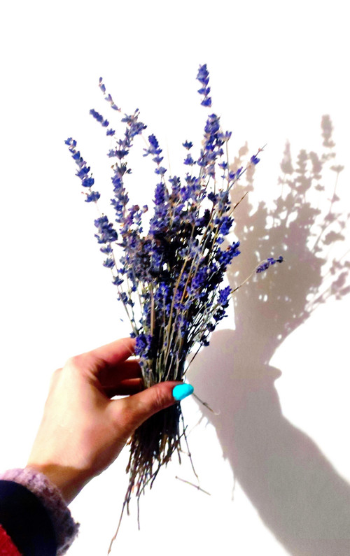 Country sušená KYTICE aroma LEVANDULE francouzská