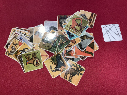 Pexeso vel.L č.109 - Africké Safari(64ks)