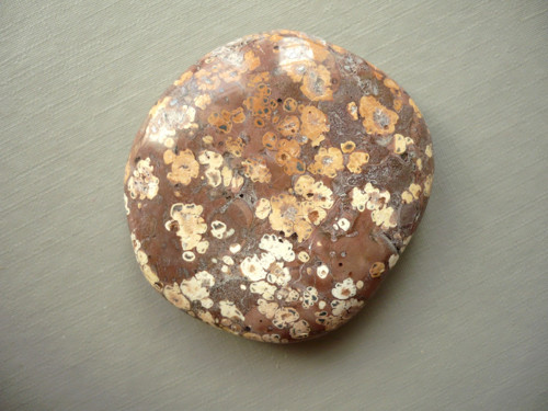 Placka - jaspis leopardí 46 mm, č.375w