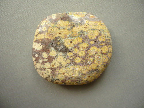 Placka - jaspis leopardí 43 mm, č.377w