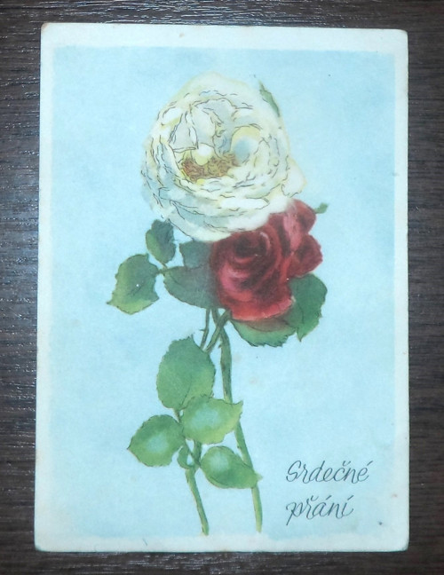 POHLEDNICE přání • B. Vejrychová - Solarová