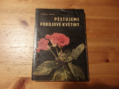 Pěstujeme pokojové rostliny