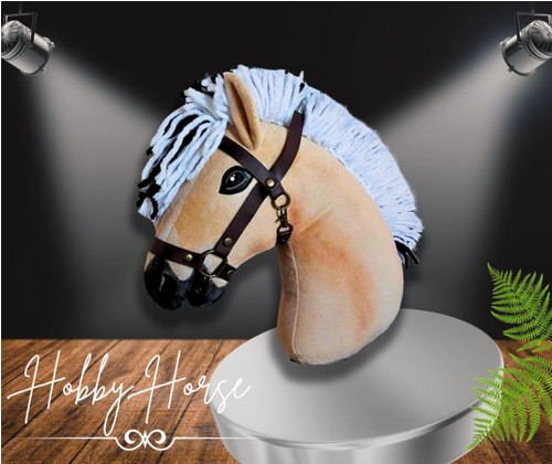 Hobby Horse, Fjordský kůň