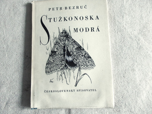 Stužkonoska modrá — foto 1