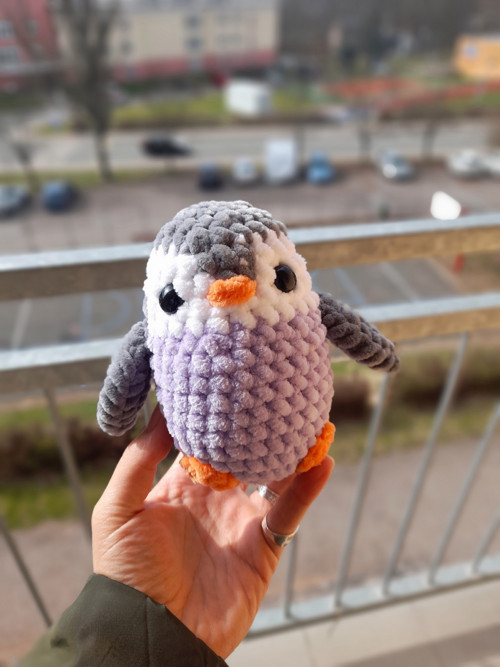 Tučňáček fialkový — foto 1