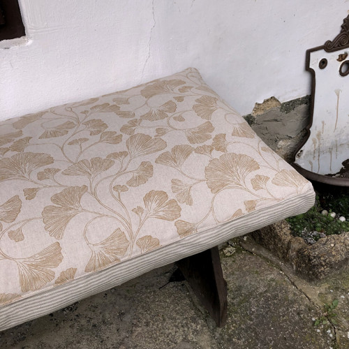 Ginko podsedák — foto 1